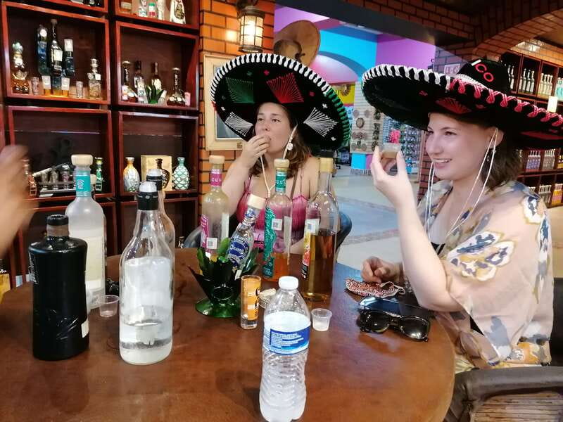 Cancun Taco Tour: Street Food & Tequila Tasting in Downtown - Meeting at El Crustáceo Cascarudo in Parque de las Palapas