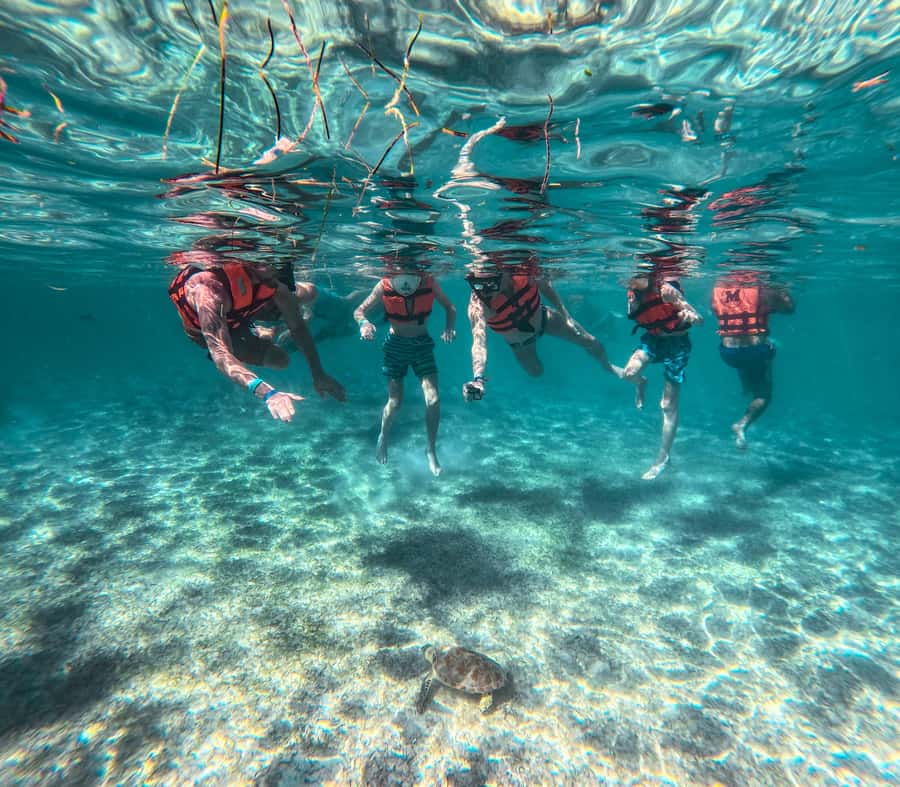 Cancun: Tulum Ruins, Akumal Turtles, Cenote & Caves Tour - Key Things I’d Highlight Before You Go