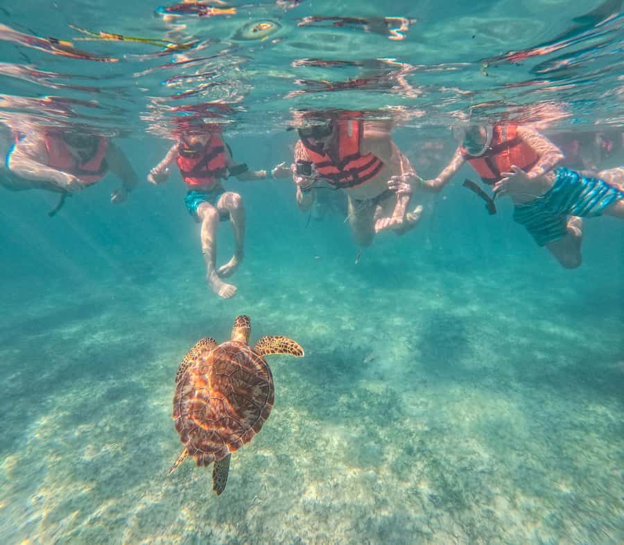Cancun: Tulum Ruins, Akumal Turtles, Cenote & Caves Tour - Tulum Ruins With Early Access and Sea Views