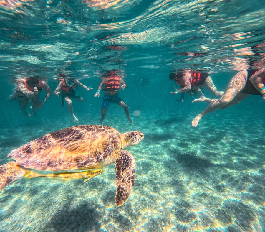 Cancun: Tulum Ruins, Akumal Turtles, Cenote & Caves Tour - Safety and Comfort: What to Pack and What You Must Follow