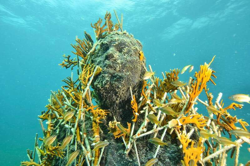 Cancún: Underwater Museum & Reef for Certified Scuba Divers - Key things to know before you go