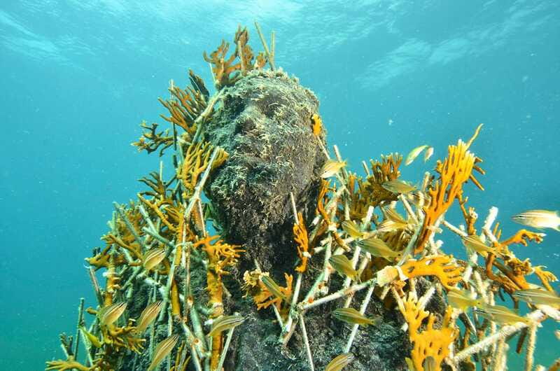 Cancún: Underwater Museum & Reef for Certified Scuba Divers - Manchones Reef and the 30-Foot Gallery of MUSA Statues