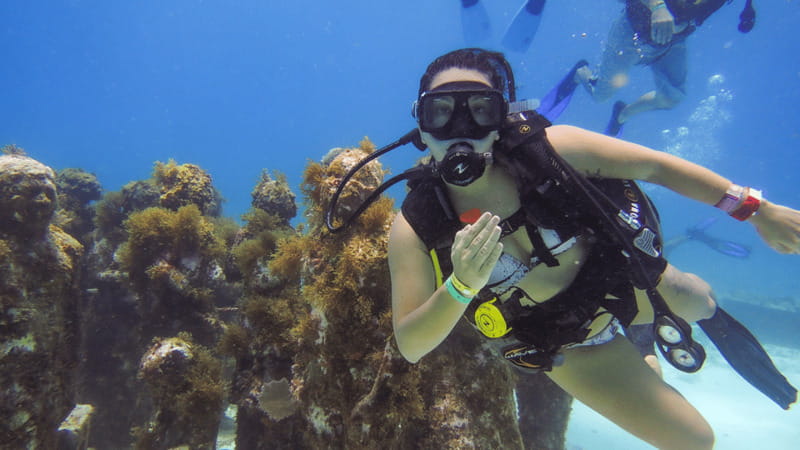 Cancún: Underwater Museum & Reef for Certified Scuba Divers - Your 4.5 Hours Plan, From Check-In to Museum to Reef