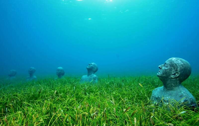 Cancún: Underwater Museum & Reef for Certified Scuba Divers - Two-Tank Schedule: Art First, Then Natural Coral and Turtles