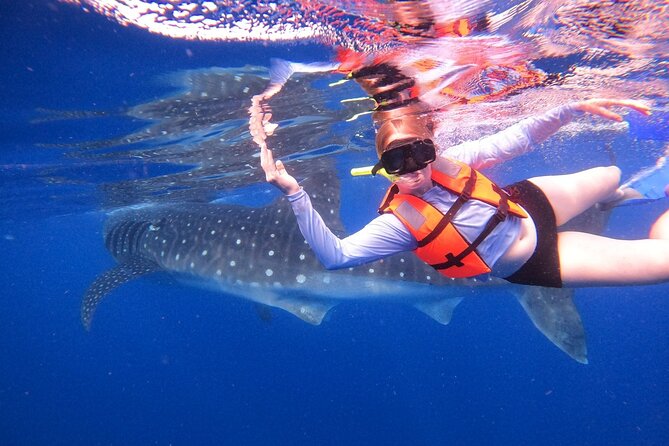 Cancun Whale Shark Experience with Snorkel & Transportation - Cancun to Isla Contoy: the smooth start that sets your day up