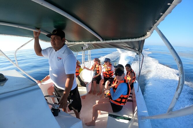 Cancun Whale Shark Experience with Snorkel & Transportation - Playa Norte on Isla Mujeres: the beach break you’ll actually feel