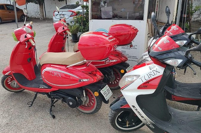 Car Rental, Scooter Rental at Valladolid, Turix Rental - Cenotes With Discounts: How to Get More Value