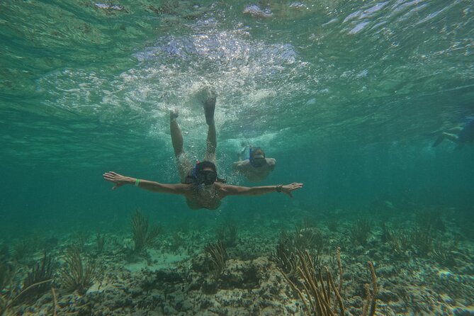 Catamaran Cruise in Riviera Maya With Snorkeling & Beach Club - Should You Book This Tour?