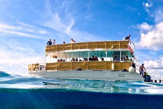 Catamaran Excursion + Open bar + Snorkeling at El Cielo - Palancar Reef: sea turtles on the timetable