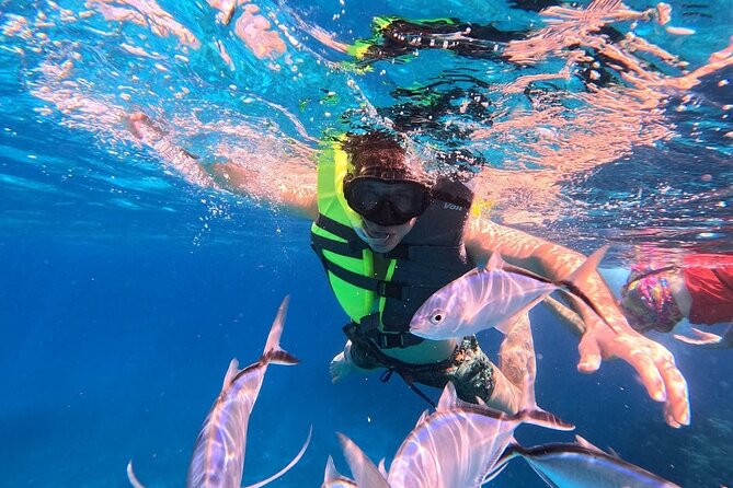Catamaran in Cozumel with snorkeling at El Cielo and open Bar - Open Bar Energy, Music, and When You’ll Eat