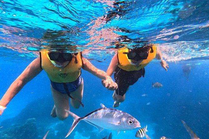 Catamaran in Cozumel with snorkeling at El Cielo and open Bar - Stop 2, El Cielo Starfish Sanctuary Swim (About 20 Minutes)