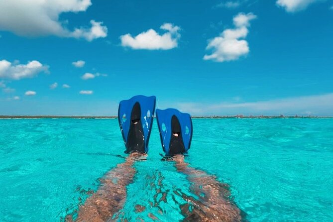 Catamaran in Cozumel with snorkeling at El Cielo and open Bar - Price and Extra Fees: The Real Cost Breakdown