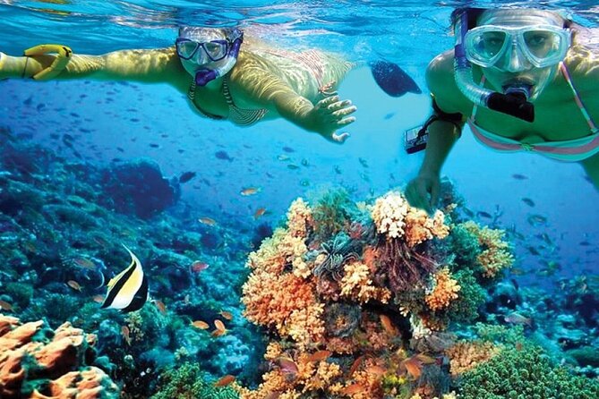 Catamaran Sailing to Isla Mujeres with Snorkeling, Lunch & Open Bar included - Food and drinks: open bar and a buffet that fits the format
