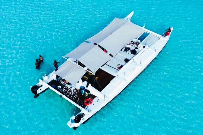 Catamaran Snorkel Adventure to El Cielo and The Money Bar Beach - Stop 1 at Palancar Reef: short snorkel time, big marine payoff