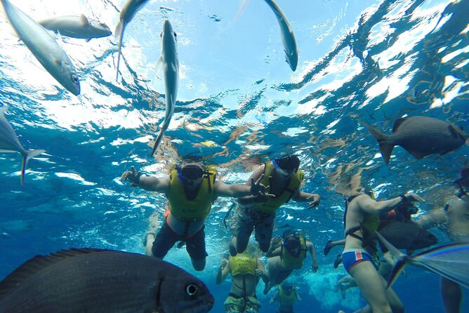 Catamaran Snorkeling to El Cielo and The Money Bar Beach Club - What you actually get for your money: inclusions and add-ons