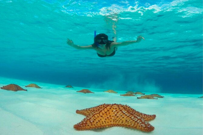 Catamaran Snorkeling to El Cielo and The Money Bar Beach Club - Snorkeling comfort and safety: who can go and who should skip