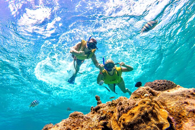 Catamaran Snorkeling to El Cielo and The Money Bar Beach Club - Timing and cruise ship reality check