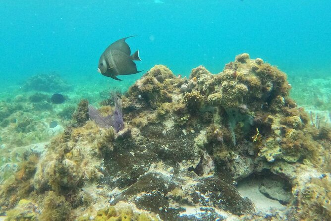 Catamaran with Snorkeling and North Beach, Isla Mujeres - Isla Mujeres for 3 Hours: Pick Your Own Mix of Beaches, Murals, and Photos