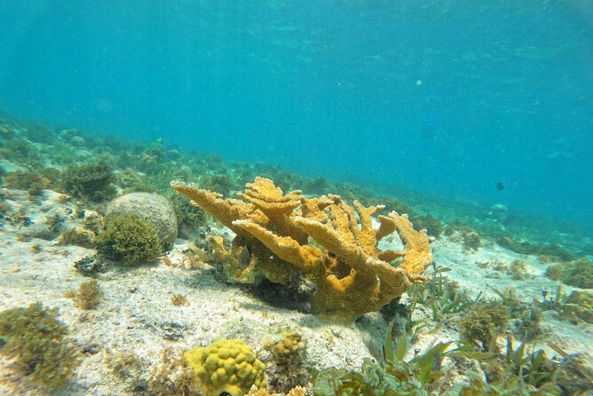 Catamaran with Snorkeling and North Beach, Isla Mujeres - Who This Tour Fits Best (And Who Should Consider Something Else)