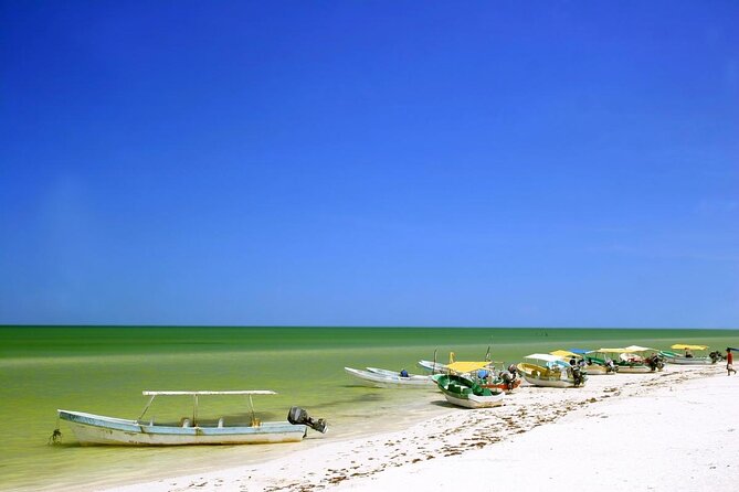 Celestun Beach and Mangrove Boat Ride from Merida - Key things to know before you go