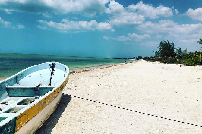 Celestun Beach and Mangrove Boat Ride from Merida - Morning mangrove and reserve boat ride: flamingos and more, up close