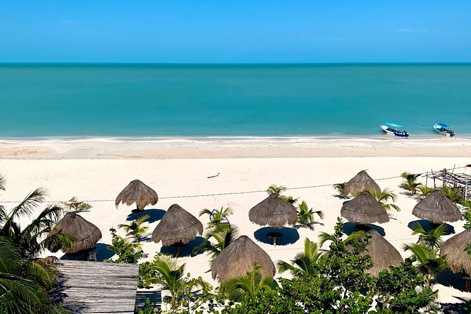 Celestun Beach and Mangrove Boat Ride from Merida - Lunch and the muddy, Mayan-flavored bonus