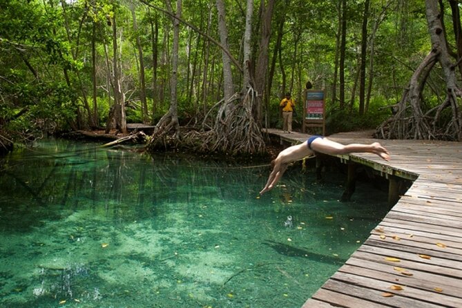 Celestun Beach and Mangrove Boat Ride from Merida - Guides, drivers, and the English question