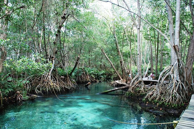 Celestun Beach and Mangrove Boat Ride from Merida - Celestun beach time: how to turn free hours into real rest
