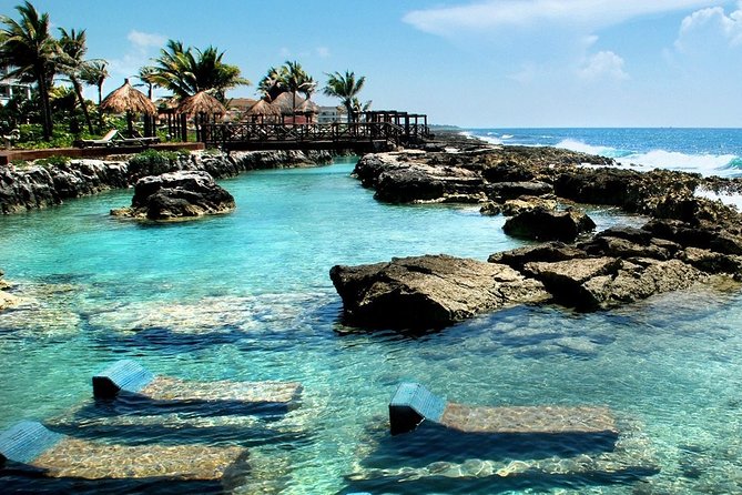 Cenote Cavern Tour and Swim with Sea Turtles in Akumal - Who This Tour Fits Best, and Who Might Want Another Plan
