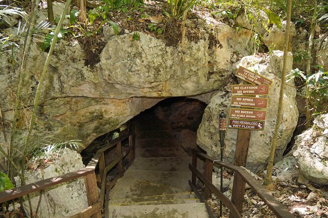 Cenote Expedition: Discover 3 Secret Cenotes with Mayan ritual - Cenote Stop by Stop: How Three Cenotes Change the Mood
