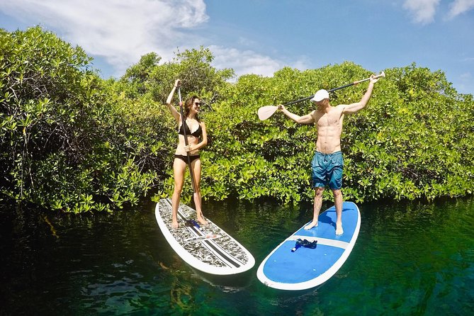Cenote Paddleboarding and Snorkeling in Tulum - Transport and meeting point, in plain terms