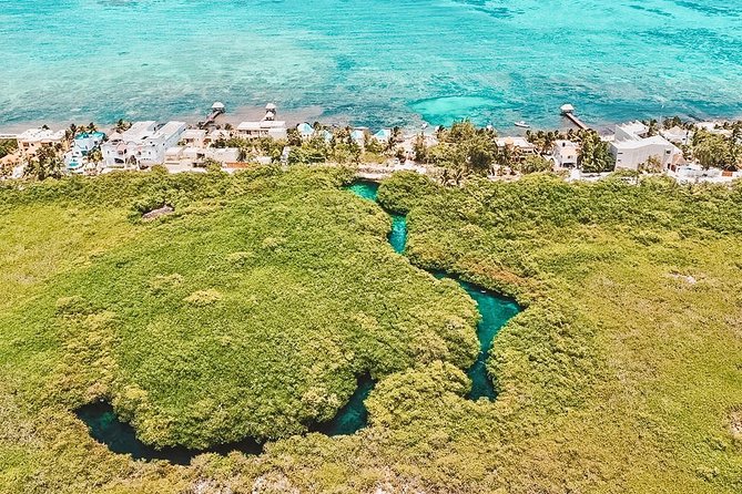 Cenote Paddleboarding and Snorkeling in Tulum - What to bring: you’ll thank yourself later