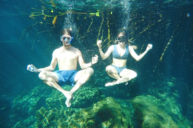 Cenote Paddleboarding and Snorkeling in Tulum - Who this cenote SUP tour fits best