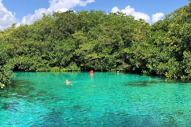 Cenote Triple Adventure Tour in Tulum - Safety, fitness level, and how to handle the jump option