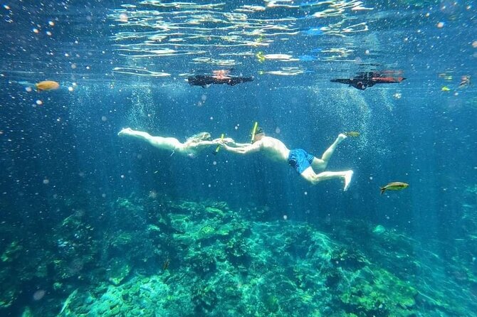 Cenotes Sacactum, Private tour. - The price question: is $208.97 per person worth it?