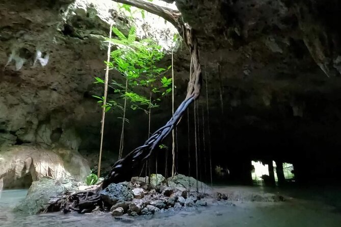 Cenotes Sacactum, Private tour. - Timing, hours, and how to plan your cenote window