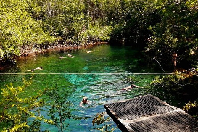 Cenotes Sacactum, Private tour. - Language and what the guide actually does for you