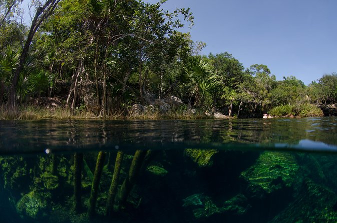 Cenotes snorkeling excursion - Cenote stop 1: stalactites, stalagmites, and the first wow factor