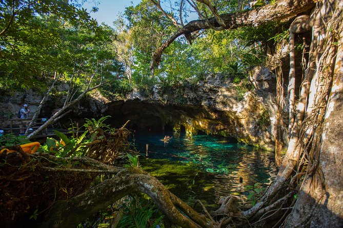 Cenotes trail jungle bike tour in Tulum with lunch - Stop 1 in the 2-Cenote Program: Tulum, then Cenote Cristal