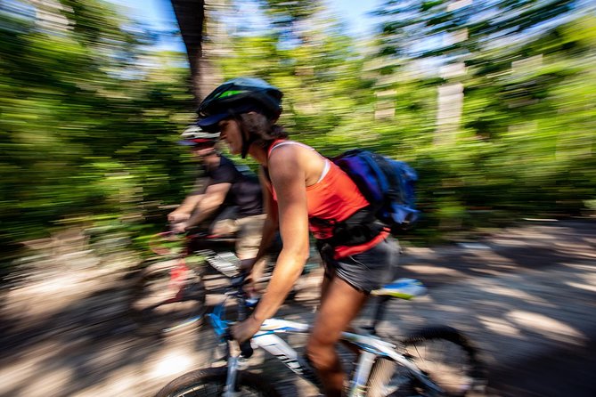 Cenotes trail jungle bike tour in Tulum with lunch - Lunch in the Jungle: A Meal You Actually Look Forward To