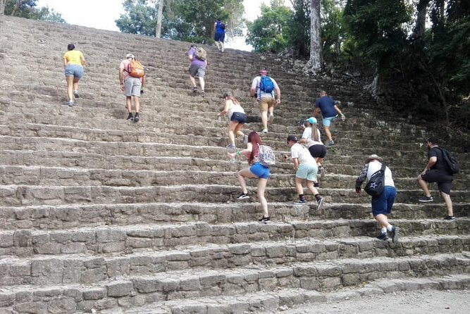 Chacchoben Mayan Ruins from Costa Maya - The 50 to 55 Minute Ride: AC Vans and Jungle Surroundings