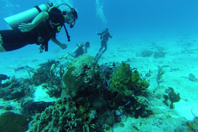 Chankanaab Cozumel Scuba Diving - Key things I’d plan around