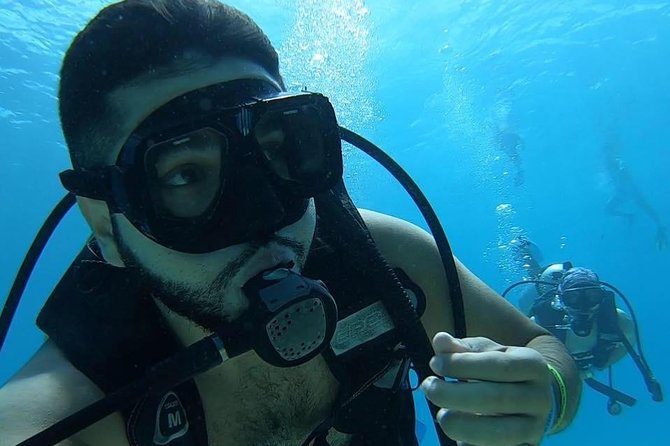 Chankanaab Cozumel Scuba Diving - Underwater Wildlife You Can Expect to See