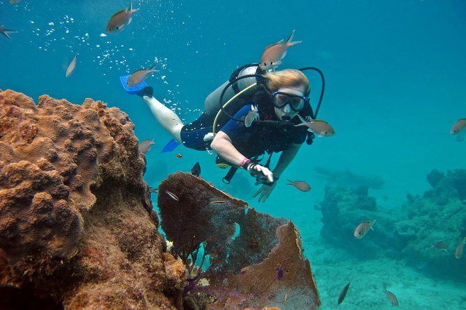 Chankanaab Cozumel Scuba Diving - Safety and Instructor Support That Shows Up in Real Situations