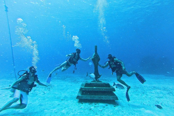 Chankanaab Cozumel Scuba Diving - Price, Fees, and the Value Reality Check