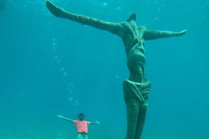 Chankanaab Park Admission + Snorkeling - Marine life, water clarity, and a reality check on stings