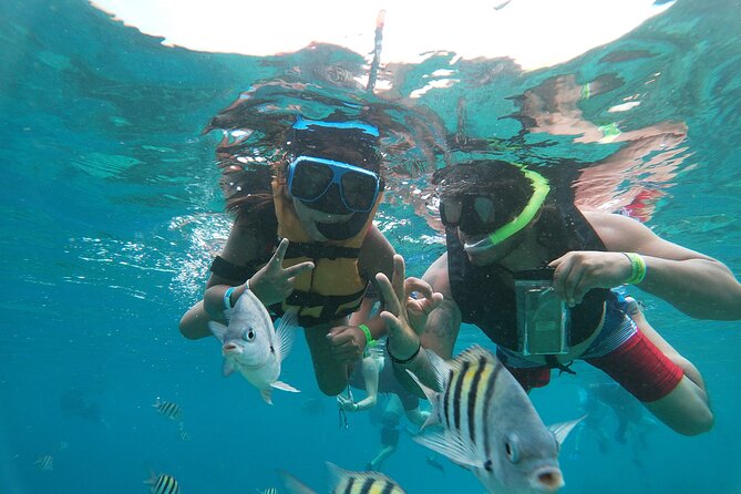Chankanaab Park Admission + Snorkeling - Snorkeling at the reef: what guided time feels like
