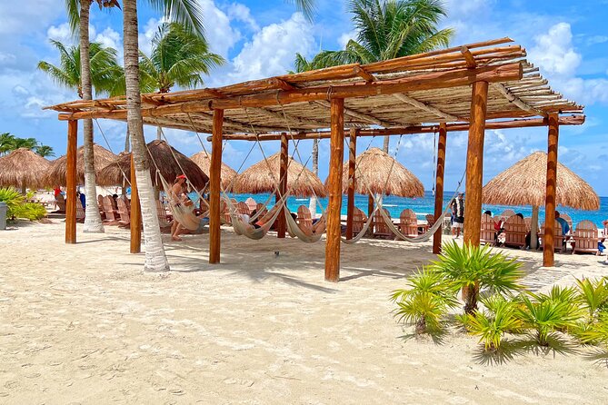 Chankanab Park Admission +Open bar +Lunch included +Snorkeling - Beach amenities, Sea Lion show, and the archaeological area