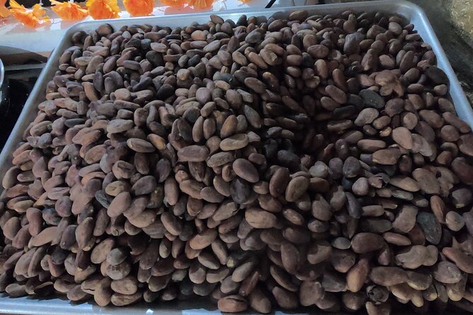 Chocolate Tasting & mayan Presentation - Price and value: why $82 can make sense in Cozumel