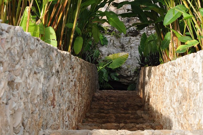Choose your experience to live in Los 7 Cenotes San Gerónimo - Bike to the semi-open cenote: 1.2 km that sets the mood